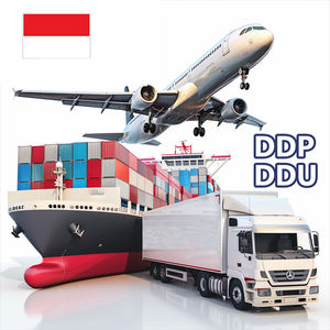 Servicios de carga aérea DDP con envío urgente, entrega puerta a puerta, solución global de agente de carga de China a Indonesia - Product Image 1