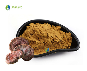 תמצית פטריית ריישי איכותית של SLBIO באבקה ביחסים 10:1, 20:1, 30:1, תמצית גנודרמה לוסידום - Product Image 3