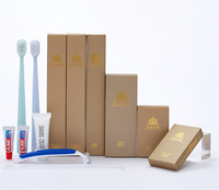 Kit de toilette jetable écologique haut de gamme pour hôtel, ensemble dentaire personnalisé pour suite exécutive cinq étoiles
