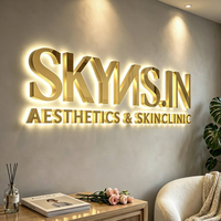 Enseignes LED 2026 pour Salon de Beauté et SPA, Lettres Métalliques Lumineuses, Enseigne Personnalisée pour Entreprise, Signalétique Rétroéclairée