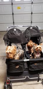 Carriola Doble para Mascotas - 4 Ruedas, Ligera, para Dos Cachorros, Perros y Gatos - Ideal para Pasear, Plegable, Carriola Doble para Mascotas - Product Image 3