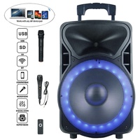 Sistema de Sonido Profesional para DJ con Subwoofers Inalámbricos, Karaoke, Control Remoto, Soporte para Tarjeta de Memoria, Carcasa de Plástico, Compatible con Computadora