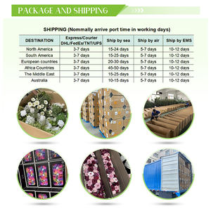 Venta Directa al por Mayor de Flores Artificiales de Rosa de <span class=keywords><strong>Gran</strong></span> Calidad para Decoración de Paredes y Escenarios de Bodas - Product Image 6