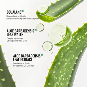 Marque privée 200ml KORMESIC Bpom approuvé personnalisé OEM contrôle de l'huile naturelle rafraîchissant 99% Aloe Vera Extrdet <span class=keywords><strong>shampooing</strong></span> énergie capillaire - Product Image 4