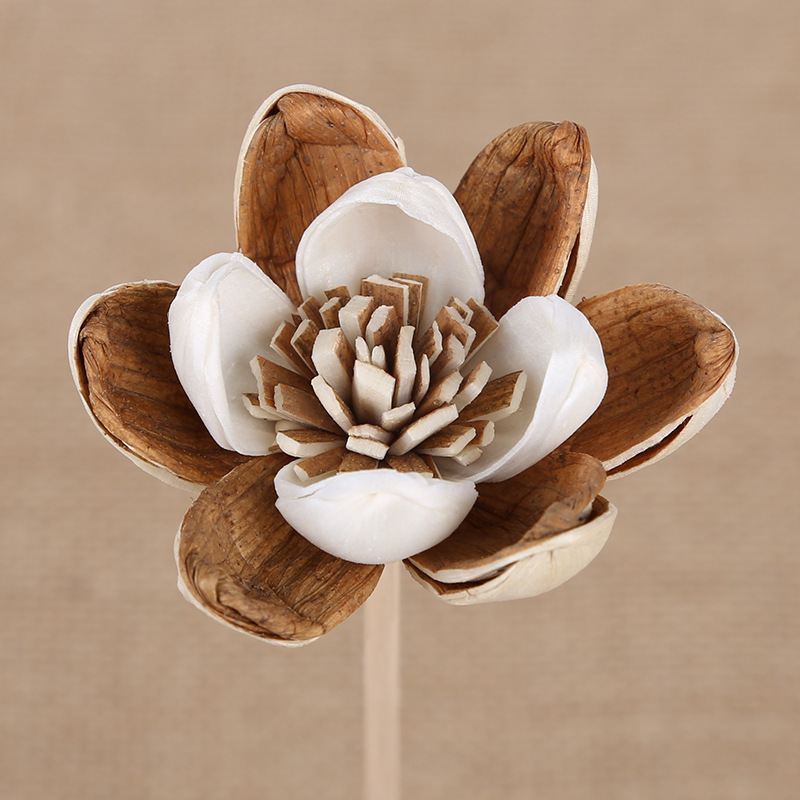 Popular Simple Aromatherapy Flower Artificial Dried