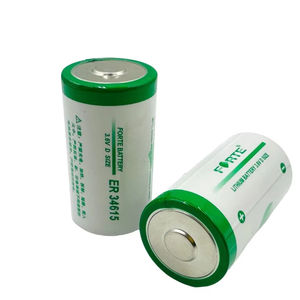 Lityum pil ER34615 LiSOCl2 pil FORTE 19000mAh D boyutu birincil pil - Product Image 1