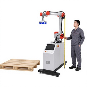 Equipo de <span class=keywords><strong>Robot</strong></span> Colaborativo para Maquinaria Brp20 para Línea de Empaquetado Automatizado Multilingüe - Product Image 1