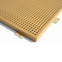 Panneaux de plafond acoustiques en aluminium perforé pour projets commerciaux |   Taille personnalisée |   Finition PVDF