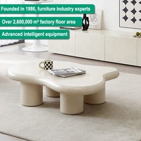 DW1177 Quanu Nouvelle table basse de style européen pour salon, table basse irrégulière créative en forme de nuage, design moderne