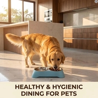 Comedero Doble para Perros y Gatos de Acero Inoxidable Premium, Resistente al Agua, con Base Antideslizante y a Prueba de Óxido