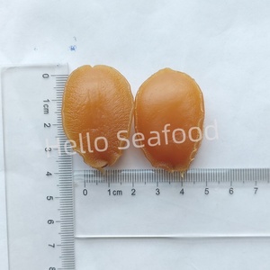 หอยเป๋าฮื้อตากแห้งแบบพรีเมี่ยม-จับได้ขนาดใหญ่เหมาะสำหรับนักชิมทำอาหารและให้เป็นของขวัญ - Product Image 4
