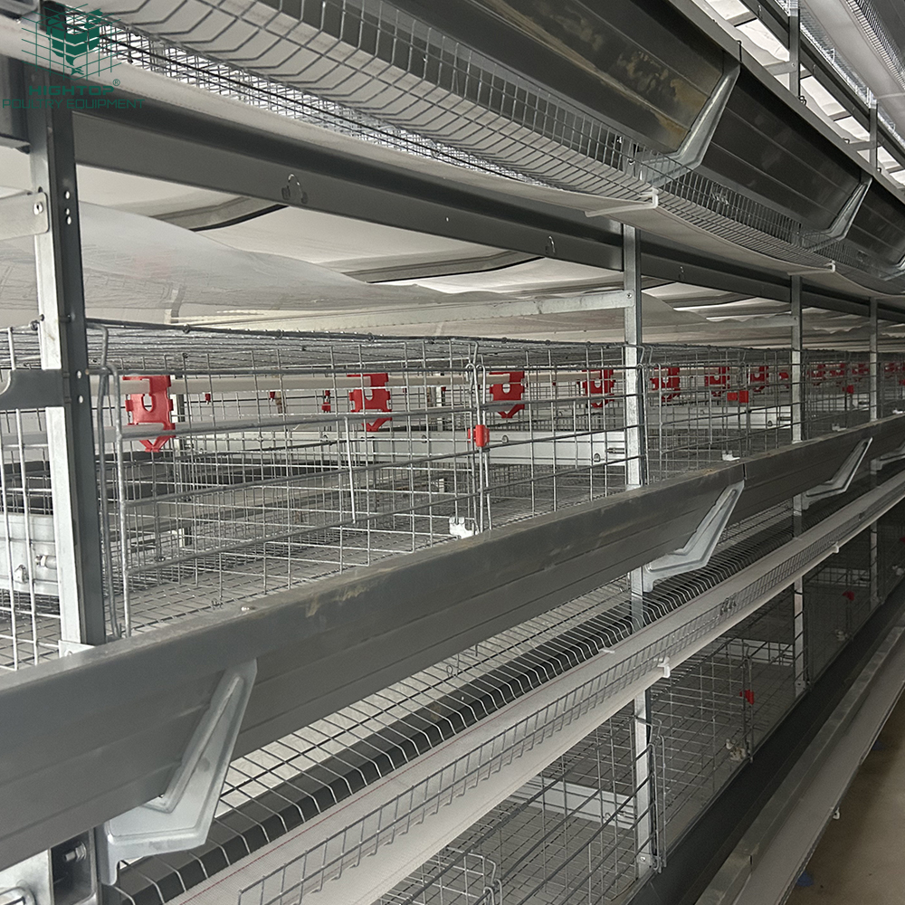 Automatic Poultry Farm Equipment H Type Battery Chicken Cages Egg Layer Hen Cage System for Egg Production