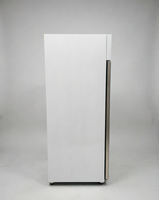 Réfrigérateur commercial à double porte vitrée pour boissons, vertical, à refroidissement par air, avec éclairage LED, pour café, bar, épicerie