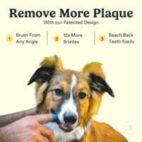 Brosse à dents en silicone à 360 degrés pour animaux de compagnie, brosse douce pour le nettoyage buccal des chats et des chiens, élimination de la plaque dentaire et du tartre pour chiens et chats (vente en gros)