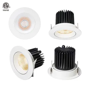 Easy Installation Round Recessed Ceiling LED Down Light Fixture Adjustable Recessed Spot Residential Office Gallery COB Lamps