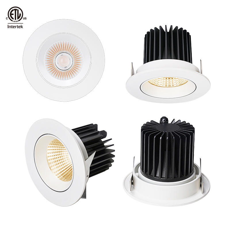 Recessed Spot Lamp 5W COB LED