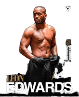 Shorts de combat MMA unisexes de haute qualité, confortables et personnalisés pour adultes, entraînement en plein air, boxe et activités d'arts martiaux