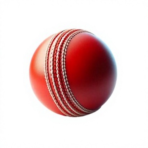 Balle de cricket classique en cuir rouge, doublement cousue, faite à la main, durable, professionnelle, pour droitiers/gauchers, 2,6 lb, équipement d'entraînement - Product Image 1