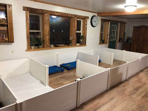 Grande caisse moderne <span class=keywords><strong>pour</strong></span> <span class=keywords><strong>chien</strong></span> en PVC avec porte réglable Clôture <span class=keywords><strong>de</strong></span> sécurité <span class=keywords><strong>pour</strong></span> amis à fourrure Stylos <span class=keywords><strong>pour</strong></span> animaux <span class=keywords><strong>de</strong></span> compagnie à hauteur réglable en plastique Nouveau XL - Product Image 6