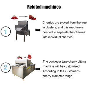 Máquina Multifuncional Comercial para Eliminar Tallos de Cereza, Máquina para Quitar Tallos de Cereza a Excelente Precio - Product Image 3