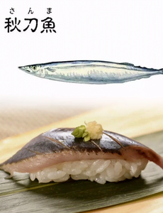 Saury et maquereau frais congelés de première qualité, traités BQF, emballage en vrac de 10 kg pour les restaurants japonais de sushi - Product Image 5
