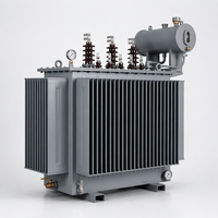 Transformateur de distribution triphasé immergé dans l'huile S22 M, entièrement scellé, cuve ondulée, 10 kV 0,4 kV Dyn11 pour la distribution d'énergie