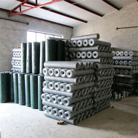 Rouleaux de grillage hexagonal galvanisé robuste pour poulaillers, enclos à animaux et volières