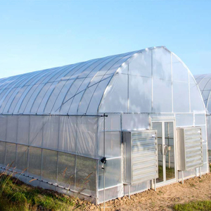 <span class=keywords><strong>Serre</strong></span> tunnel polyvalente à simple travée, personnalisable, économique, pour <span class=keywords><strong>poulailler</strong></span> et agriculture de tomates - Product Image 2