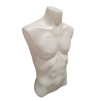 Mannequin Homme Demi-Corps Haut en Plastique PE de Haute Qualité et Économique pour Présentation de Foulards, Vestes et T-shirts