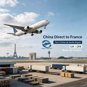 Servizio di Trasporto Aereo da Aeroporto a Aeroporto dalla Cina a Parigi CDG ORY Lyon <span class=keywords><strong>LYS</strong></span>, Agente di Spedizione CIF CFR per Carichi Fuori Misura - Product Image 3