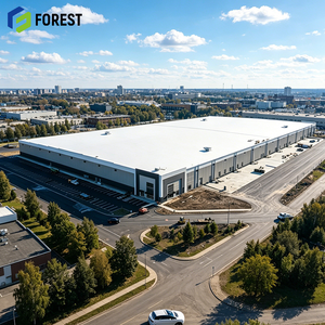 Depósito Logístico Modular de Acero Prefabricado para Uso Industrial Pesado, Edificio de Almacenamiento Metálico de Espacio Abierto Prefabricado - Product Image 1