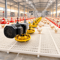Ensemble mangeoire et abreuvoir automatiques de haute qualité pour poulets – Équipement complet d'élevage avicole pour l'élevage au sol des poulets de chair