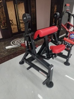 MACHINE DE CURLING ALTERNATE de haut niveau en gros directe d'usine pour la musculation