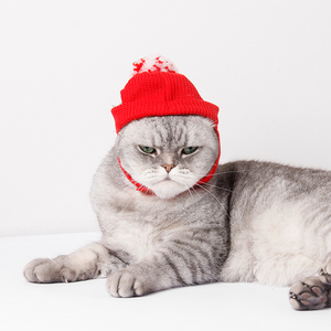 Direktverkauf vom Hersteller: Umweltfreundliche Rote Tiermuster-Wollmütze mit Ohrlöchern für Hunde, Katzen, Kätzchen und Welpen - Einheitsgröße Haustier-Bekleidung - Product Image 3