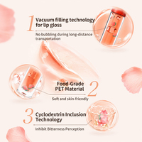 Offre Spéciale : Kit de 6 Gloss à Lèvres Mat Scintillant Imperméables, Végétaliens, Hydratants à la Céramide, Parfum Fruité, Transparent et Repulpant