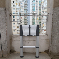 Échelle télescopique en alliage d'aluminium pliable certifiée TUV EN131-6:2019, 2,9 m, 10 marches, utilisation à domicile, salle de sport, utilisation extérieure, grenier