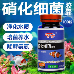 Capsules de bactéries nitrifiantes Nai Chong, 100 pièces, pour aquarium d'eau douce et d'eau salée, clarificateur d'eau - Product Image 5