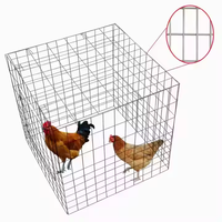 Cage à poules pliable portable en fil de fer galvanisé de haute qualité, revêtement PVC, couleur antirouille, avec portes latérales et supérieure