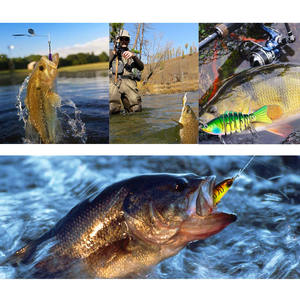 Hairuiyuheng — canne à pêche en forme de cloche, bon marché, réaliste, sac d'appâts, carpe, noir, kit de fabrication, bon marché - Product Image 3