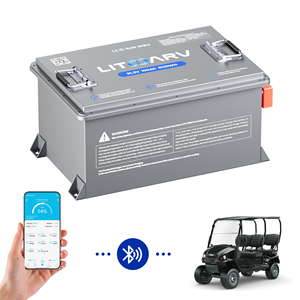 Batería de Litio para Carro de Golf de 72v 48v 36v para Baterías de Iones de Fosfato de Hierro de 51.2v 105ah 100ah 200ah 280ah 48 Voltios - Product Image 4