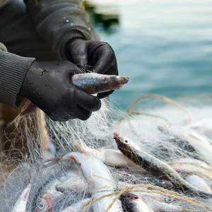 قفازات شتوية من GLOVEMAN للرجال والنساء قفازات عمل مقاومة للماء ، قفازات أمان فائقة بطلاء مطاطي عازل للحرارة لفريزر - Product Image 6