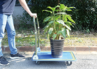Chariot pliable, pour un rangement facile et chariot de plateforme avec roues pivotantes à 360 degrés