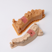 IFUN 3161 resin cetak 3d, resin gingiva gigi untuk printer 3d Resin fleksibel untuk bidang gigi