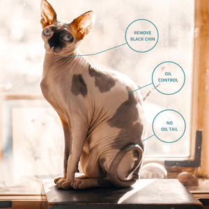 Shampoo nettoyant en profondeur naturel de luxe 500 ml pour chats sans poils canadiens, shampooing régulateur de sébum pour chats <span class=keywords><strong>sphynx</strong></span> - Product Image 4