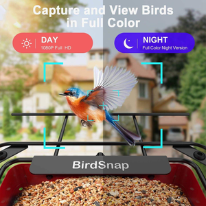 Mangeoire automatique intelligente pour <span class=keywords><strong>oiseaux</strong></span> Futurepets AI avec une capacité de 1,5 kg, en métal imperméable, pour <span class=keywords><strong>oiseaux</strong></span> d'intérieur et d'extérieur - Product Image 5