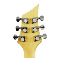 Amplifier Gitar Custom Paisen, Gitar Elektrik, Gitar Elektrik Maple Flame Murah, Kit Gitar Elektrik Murah