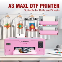 EraSmart A3 XP600 Impresora Digital de Camisetas Rosa Pequeña de 35cm, Impresora DTF Rollo a Rollo, Nueva Condición