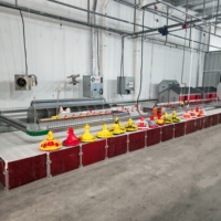 Équipement pour l'élevage de volailles, système d'élevage de poulets, équipement pour poulaillers de poulets de chair/équipement pour poulets en plein air