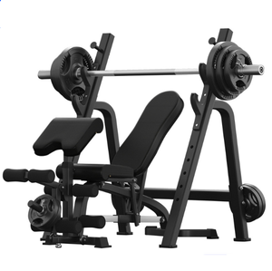 Commercial Gym Equipment <strong>Indoor</strong> Exercise Chair Dumbbell <strong>Bench</strong> Multipurpose Training Bird <strong>Bench</strong> - Product Image 1