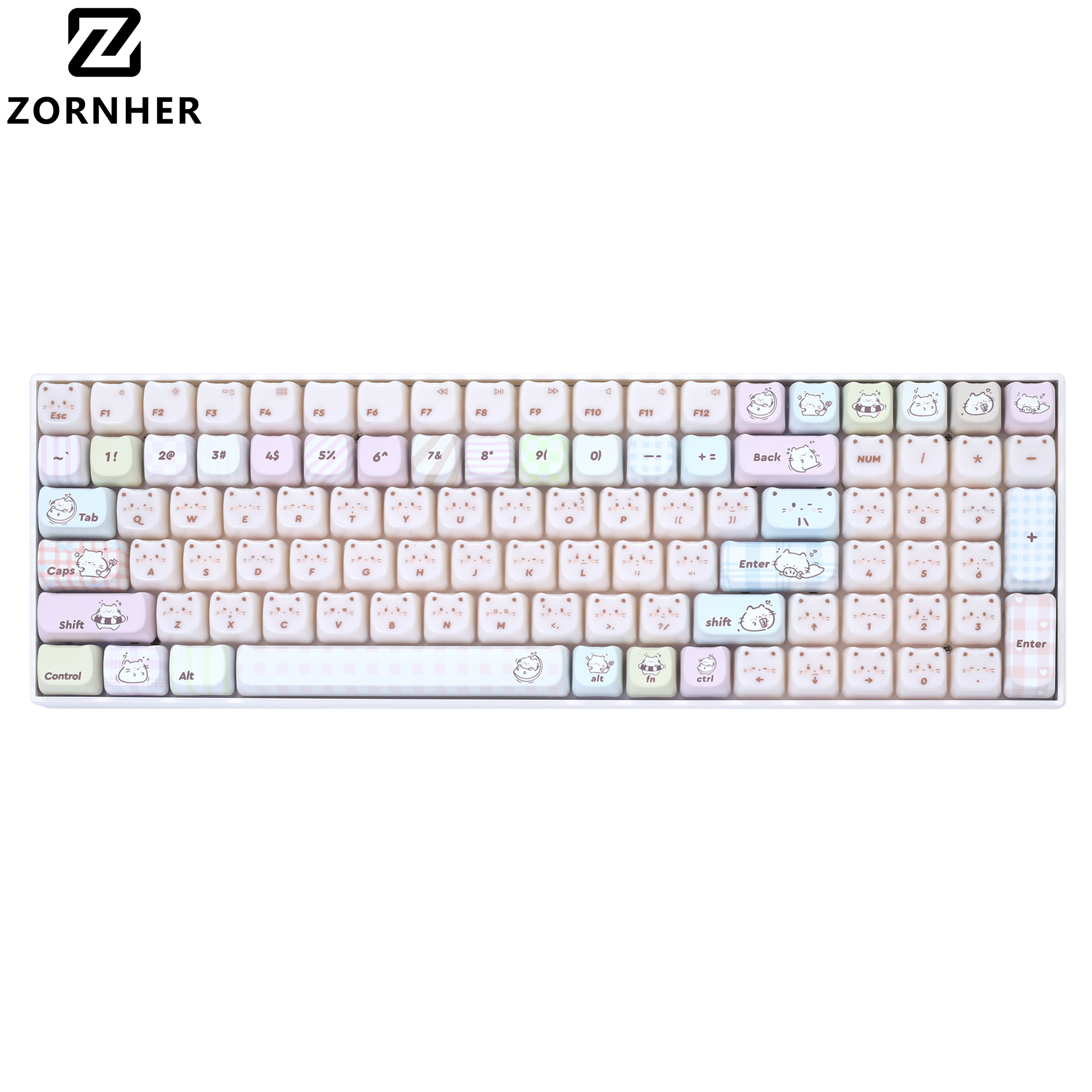 ZH100 Chat gourmand